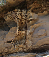 P3180437a.jpg